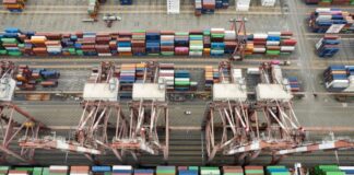 Exportaciones totales aumentaron 5,5% en los dos primeros meses de 2024