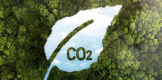 Conoce las nuevas práticas de reciclaje que ayudan a reducir la huella de carbono