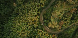 Día de la Tierra: ¿Por qué la electricidad 4.0 es una vía directa al Carbon Zero?