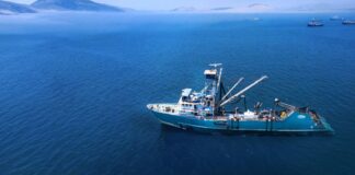 Pesca de cerco: una de las prácticas más sostenibles en el ecosistema marino