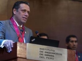 Darío Zegarra, nuevo presidente del IIMP: “Seremos tajantes para condenar las prácticas de la minería ilegal”