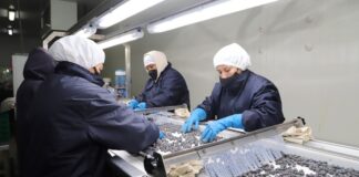 Agroexportaciones peruanas mostraron un crecimiente de 8.6