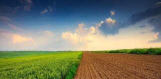 El cambio climático amenaza la producción de nueve materias primas clave para 2050