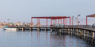 Nuevo Hub portuario logístico e industrial: Desafíos del sector