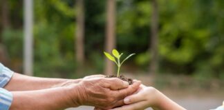 BASF presenta su Informe Anual de América del Sur 2023 con importantes logros en sustentabilidad