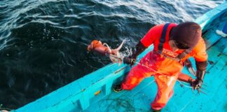 SONAPESCAL y CAPECAL presentan proyecto de ROP de la Pota y plantean la urgente necesidad de modernizar la gobernanza pesquera del calamar gigante peruano