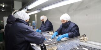 Empleos generados por exportaciones cayeron -12%