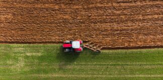 Cuatro claves desde el renting que contribuyen a equilibrar el cambio climático