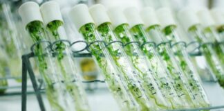 El Banco de Germoplasma más grande del mundo está en Perú