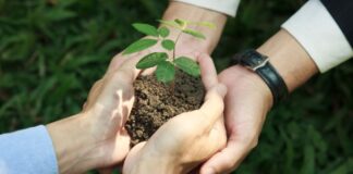 Día del Medio Ambiente: Cinco tips para un cambio sostenible en las empresas