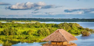 SKY proyecta trasladar a más de 18,000 personas al Cusco y la selva peruana