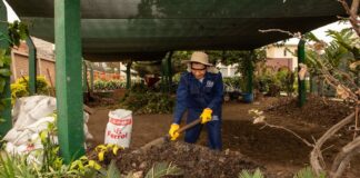 Clínica Stella Maris transforma sus residuos orgánicos en 20 toneladas de abono