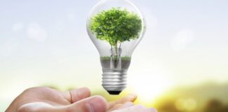 Eficiencia Energética como clave del éxito