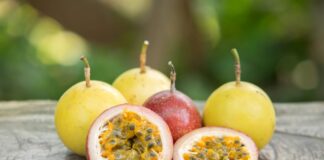 Pasión por la maracuyá: fruto se abre paso en la región San Martín gracias a iniciativa del proyecto PERU-Hub