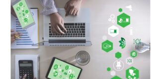 Cinco acciones que debes aplicar en tu empresa para hacerla sostenible