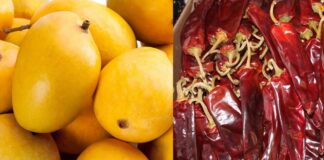 Demanda de frutas y hortalizas congeladas representa oportunidad para Perú
