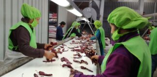 Empresas exportadoras aumentaron 5.9% en mayo