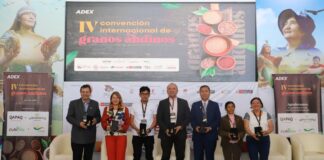 Perú fue el principal exportador mundial de quinua en el 2023