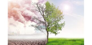 Grupo Eulen adopta prácticas ecológicas en sus servicios para contribuir a la protección del medio ambiente
