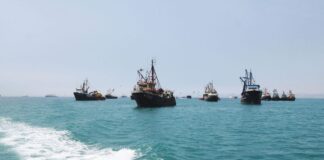 PRODUCE: Sector pesquero se incrementó en 56.8% en junio de 2024 por mayor descarga de anchoveta