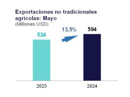Exportaciones no tradicionales agrarias crecieron 13,5% en mayo de 2024