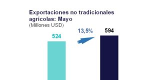 Exportaciones no tradicionales agrarias crecieron 13,5% en mayo de 2024