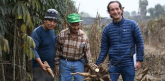 Sistemas Agroalimentarios Urbanos podrían recuperar hasta el 17% de los alimentos desperdiciados en el proceso de cosecha