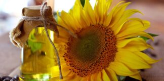Línea de producción de aceite de girasol