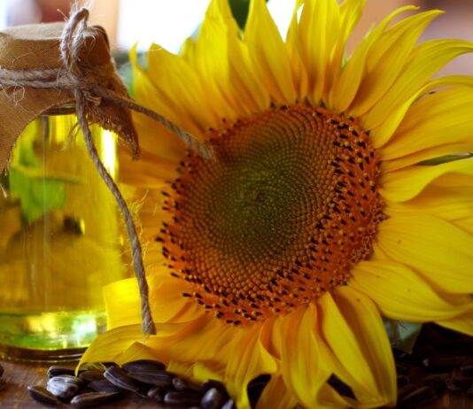 Línea de producción de aceite de girasol