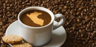 Día del Café Peruano: solo 30 % de la producción se destina al comercio interno