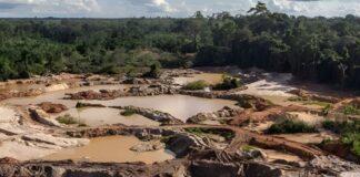 Luis Castilla advierte que minería ilegal podría dejar el oro para migrar al cobre