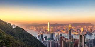 ADEX identificó oportunidades comerciales con Hong Kong