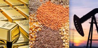 La importancia de las commodities para una inversión eficaz