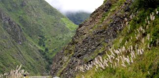 Nueva Carretera Central: su construcción podría dinamizar actividades clave como el comercio interno y el turismo