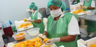 CIEN-ADEX: Número de empresas exportadoras se incrementó en 4.4%