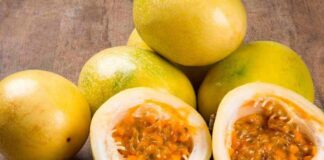 Perú está en el top 10 de proveedores mundiales de maracuyá y frutas exóticas