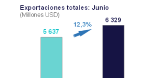 Exportaciones totales crecieron 12,3% en junio de 2024