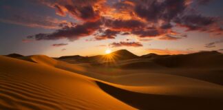 El país con el megaproyecto que convertirá el desierto en una megaciudad