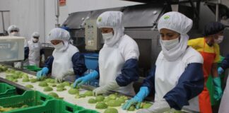 Exportadores apuntan a Grecia y otros países de Los Balcanes