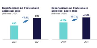 Exportaciones no tradicionales agrarias aumentaron 45,6% en julio