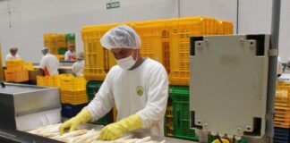 ADEX: exportaciones crecieron 11.8% entre enero y julio