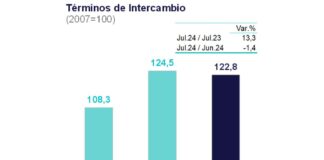 Términos de intercambio crecieron 13,3% interanual en julio