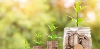 El IPE reduce su proyección de crecimiento para la inversión privada en 2024 a 1.6%