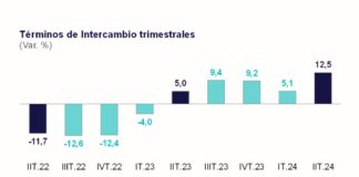 Los términos de intercambio crecieron 12,5% en el segundo trimestre de 2024