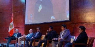 Ingemmet prepara nuevo mapa metalogenético del Perú que incluya minerales críticos y tierras raras