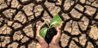 Expertos internacionales se reúnen para debatir sobre el cambio climático en la UCV