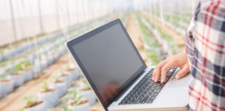 Facturación electrónica fortalece la eficiencia y trazabilidad en la cadena de suministro agrícola