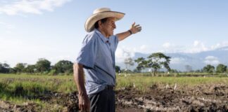 Día Mundial de la Agricultura: tendencias, soluciones y prácticas sostenibles para impulsar el sector