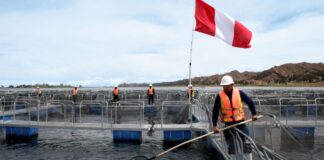 ADEX: Exportaciones peruanas crecieron 26.4% en agosto