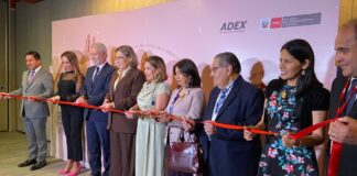 Eliminar la informalidad e impunidad mejorará la seguridad en el país